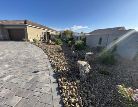 A driveway with rocks and plants in it