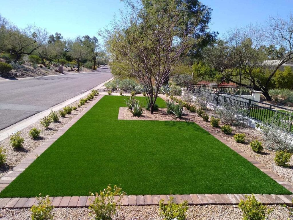 A green lawn with trees and bushes in the background.