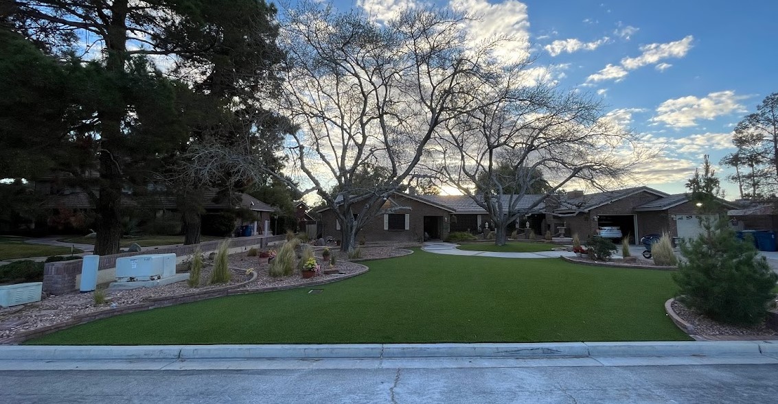 A view of a yard with trees and grass. A view of a yard with trees and grass.