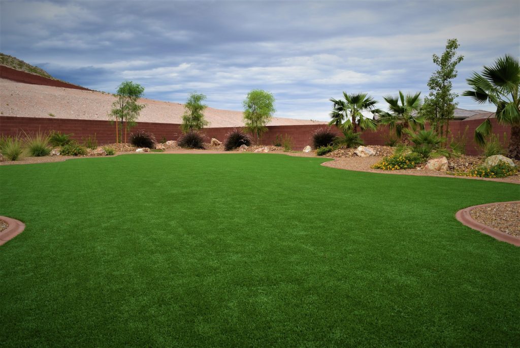 A large grassy area with trees and bushes. A large grassy area with trees and bushes.